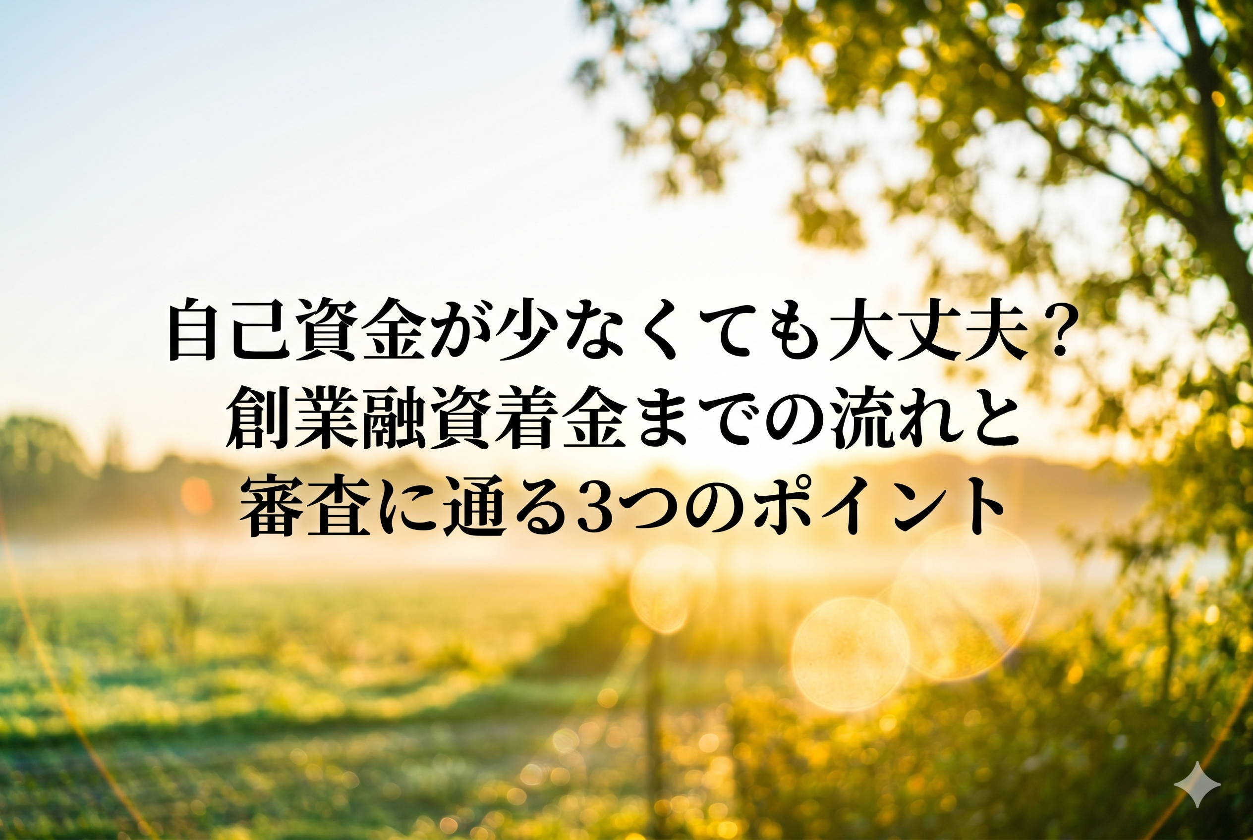 自己資金が少なくても大丈夫？創業融資着金までの流れと審査に通る3つのポイント